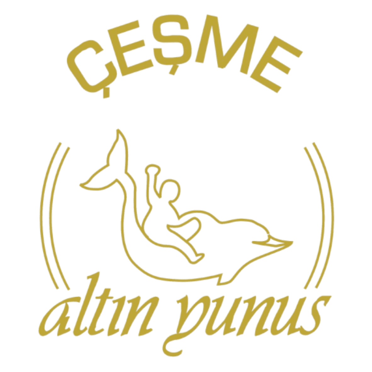 AYCES