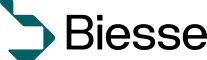 BSS